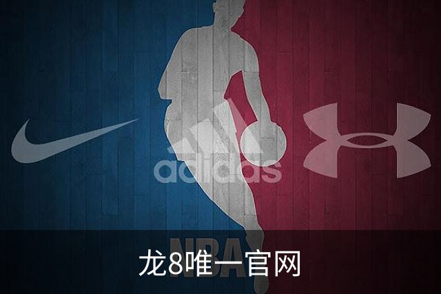 龙8唯一官网 公司简介